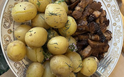 (submitted by Lis Ellis)