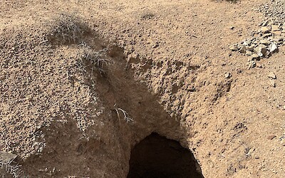 A deep pit that is an ancient remnant of the water tunnels that brought H2O from the Atlas Mountains (submitted by A. Anderson)