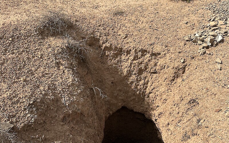 A deep pit that is an ancient remnant of the water tunnels that brought H2O from the…