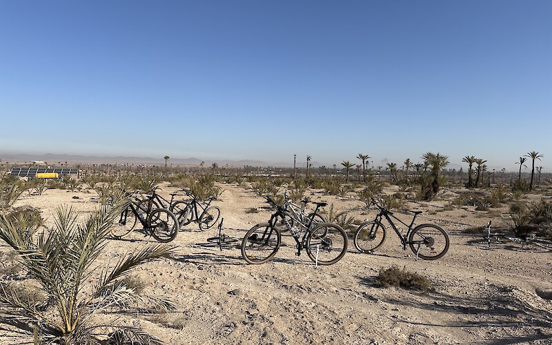 … in the outskirts of Marrakesh (submitted by Pam)