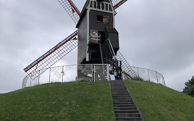 Very informative about the windmill (submitted by Tracie Bodnar)