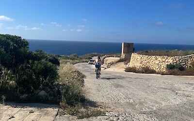 (submitted by Colleen)