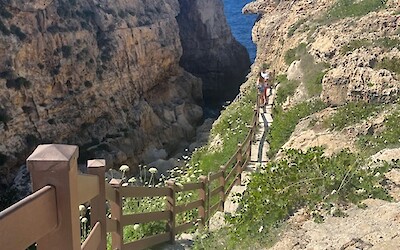 (submitted by Colleen)