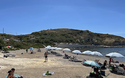 (submitted by Elizabeth C.)