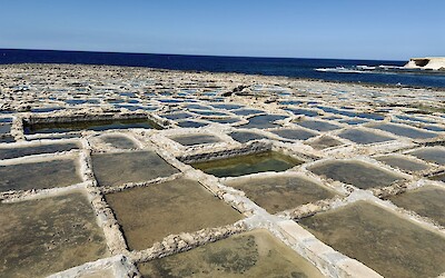 (submitted by Elizabeth C.)