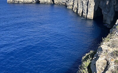 (submitted by Elizabeth C.)