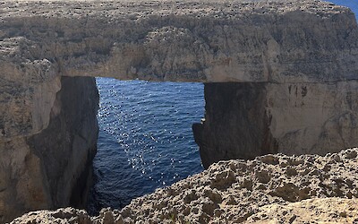 (submitted by Elizabeth C.)