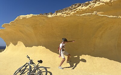 (submitted by Rhonda)