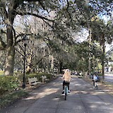 Biking through the squares of Savannah (photo by Janet Williams)