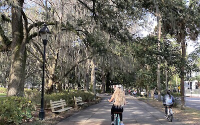 Biking through the squares of Savannah (submitted by Janet Williams)