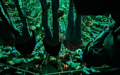 Mirror room in the Wine Experience tour (submitted by Hung Kang)