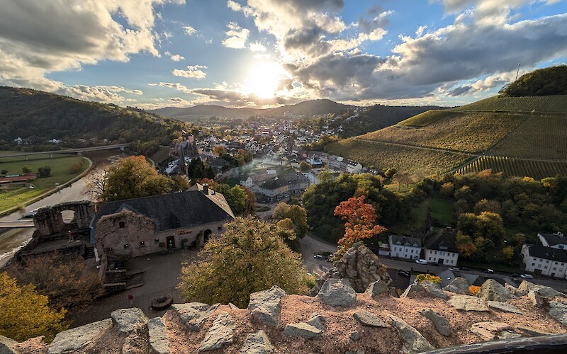 View of vineyards in Saarburg (submitted by Hung Kang)