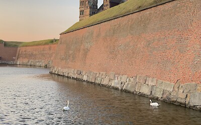 (submitted by Leslie)