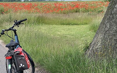 (submitted by Leslie)