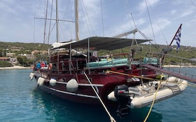 Erato (submitted by Sandra Spekman)