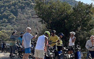 Cycling site seeing is the best kind (submitted by Carolyn Clubine)