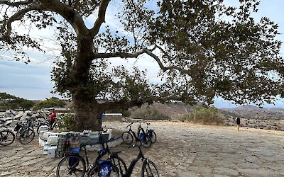 (submitted by Aldonna Harner)