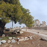 Aphaia Temple, Aegina Island. (photo by Muffy C.)
