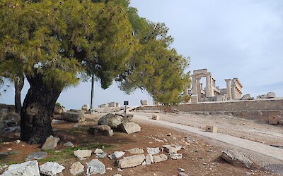 Aphaia Temple, Aegina Island. (submitted by Muffy C.)