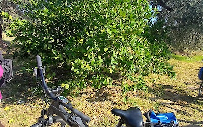 (submitted by Bozena)