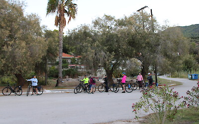 (submitted by Jack L)