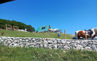 (submitted by Nicole K.)