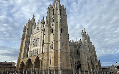 Leon (submitted by Tom G)