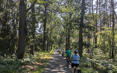 Beautiful bike trails through the woods. (submitted by Anne Jesse)