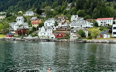 (submitted by Sandy McFarren)