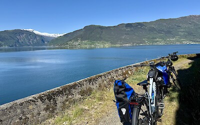 (submitted by Cati C)