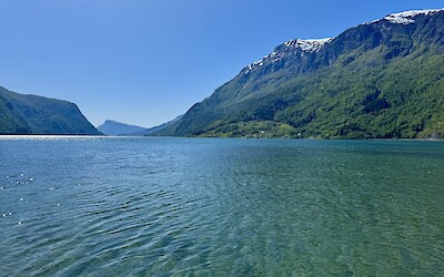 (submitted by Cati C)