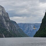 From the ferry. (photo by Libby Bergman)