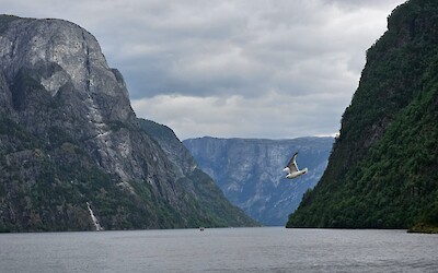 From the ferry. (submitted by Libby Bergman)