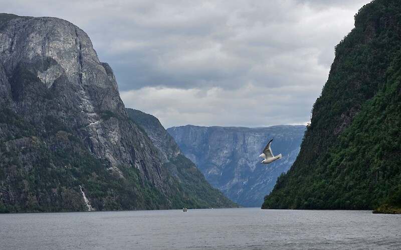 From the ferry. (submitted by Libby Bergman)
