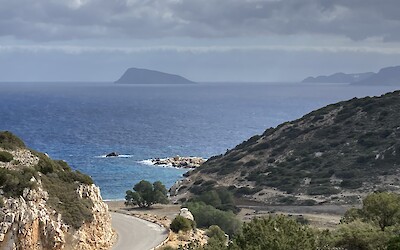 (submitted by Donna Reyes)