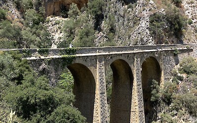 (submitted by Donna Reyes)