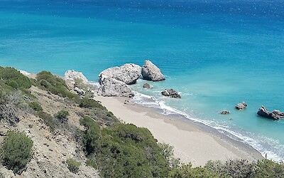 (submitted by Lee Smith)