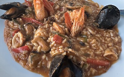 (submitted by Darcy B)