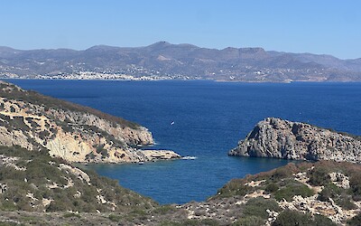 (submitted by Darcy B)