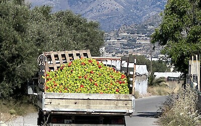 (submitted by Darcy B)