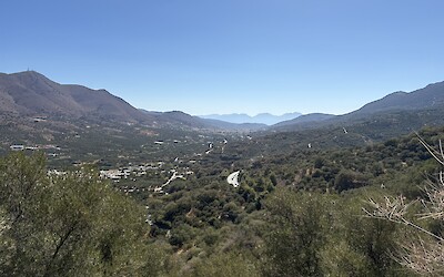 (submitted by Steve C)