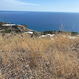 view from the top (photo by Jeremy K.)