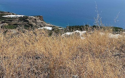 view from the top (submitted by Jeremy K.)