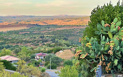 (submitted by John Foster)