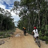 Biking on a jungle road to our first Cenote! (photo by Luke J.)