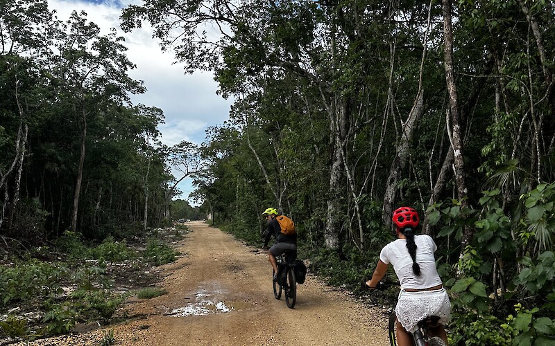 Biking on a jungle road to our first Cenote! (submitted by Luke J.)