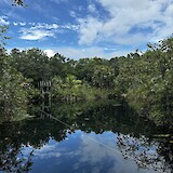Cenote (photo by Luke J.)