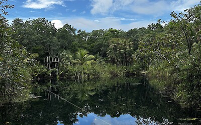 Cenote (submitted by Luke J.)