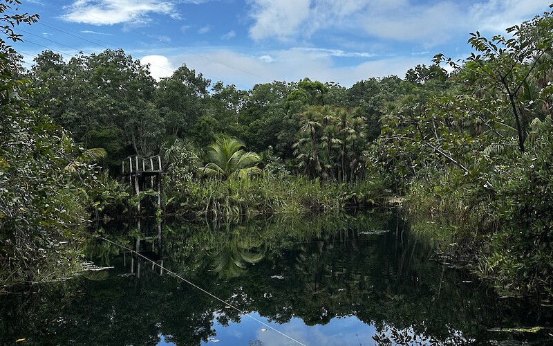 Cenote (submitted by Luke J.)