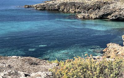 Crystal clear water&mdash;made for swimming! (submitted by Janet Waterstradt)